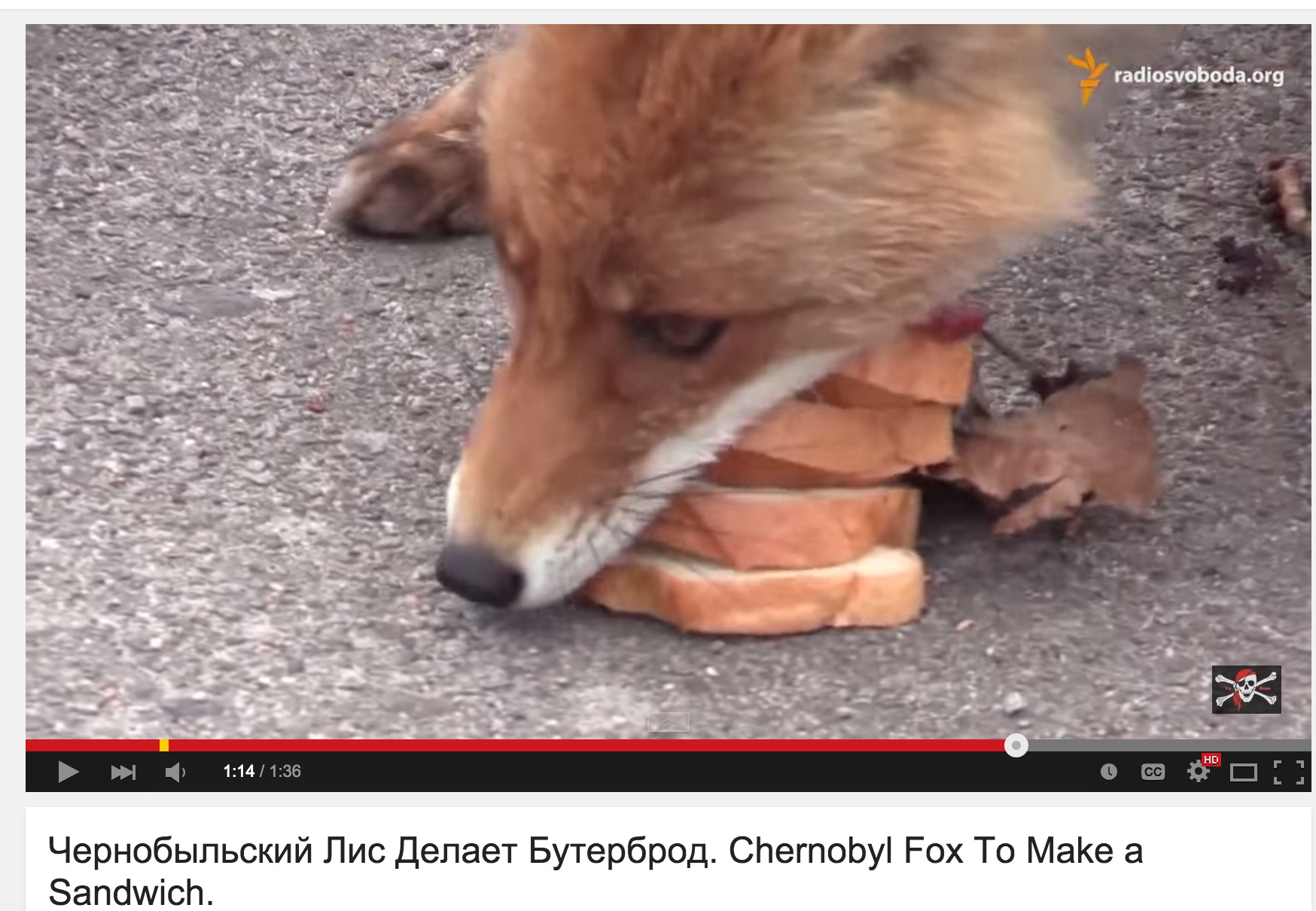 Watch Fox makes fivedecker sandwich in Chernobyl(00)