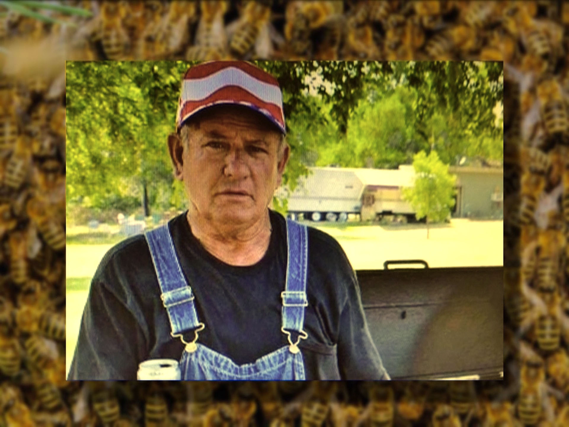 Man Killed By Swarm Of Bees While Mowing Lawn 2861