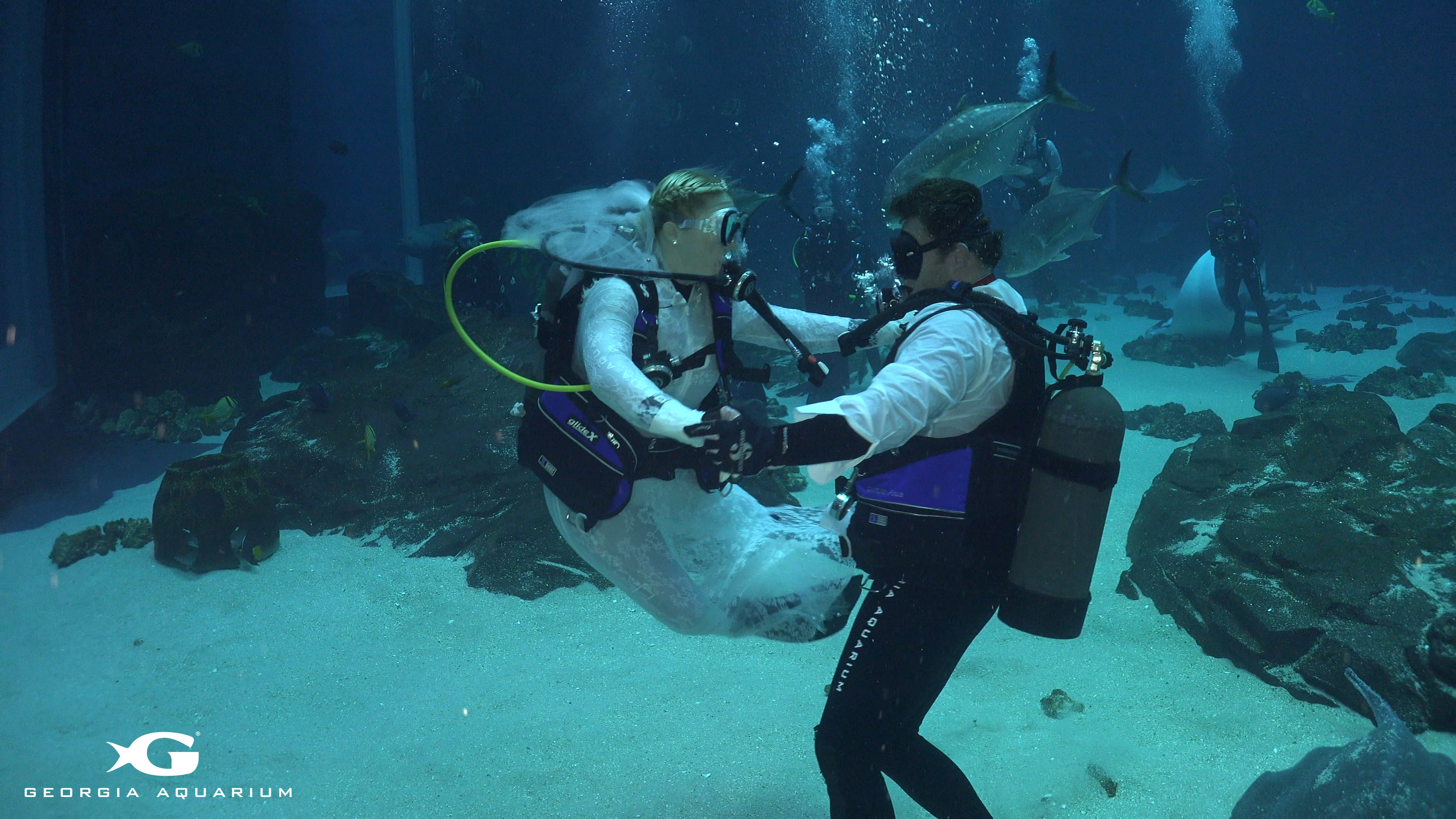 Underwater wedding goes swimmingly at Ga. Aquarium