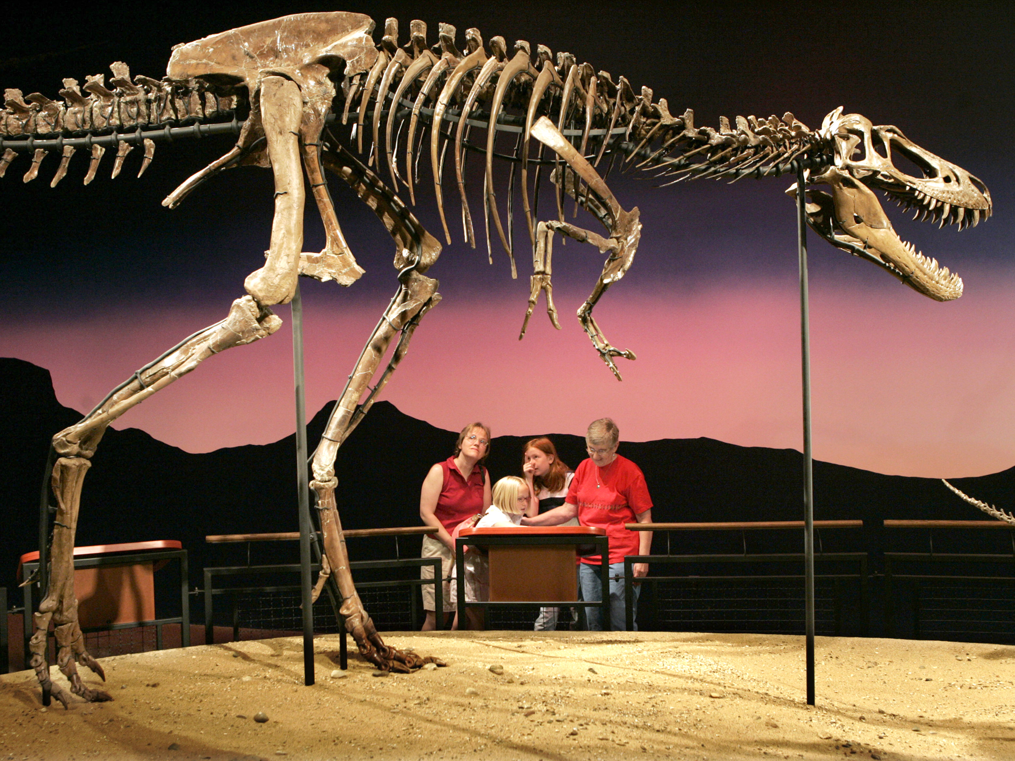 Fossil find sheds light on how evolution produced T. rex | 13wmaz.com