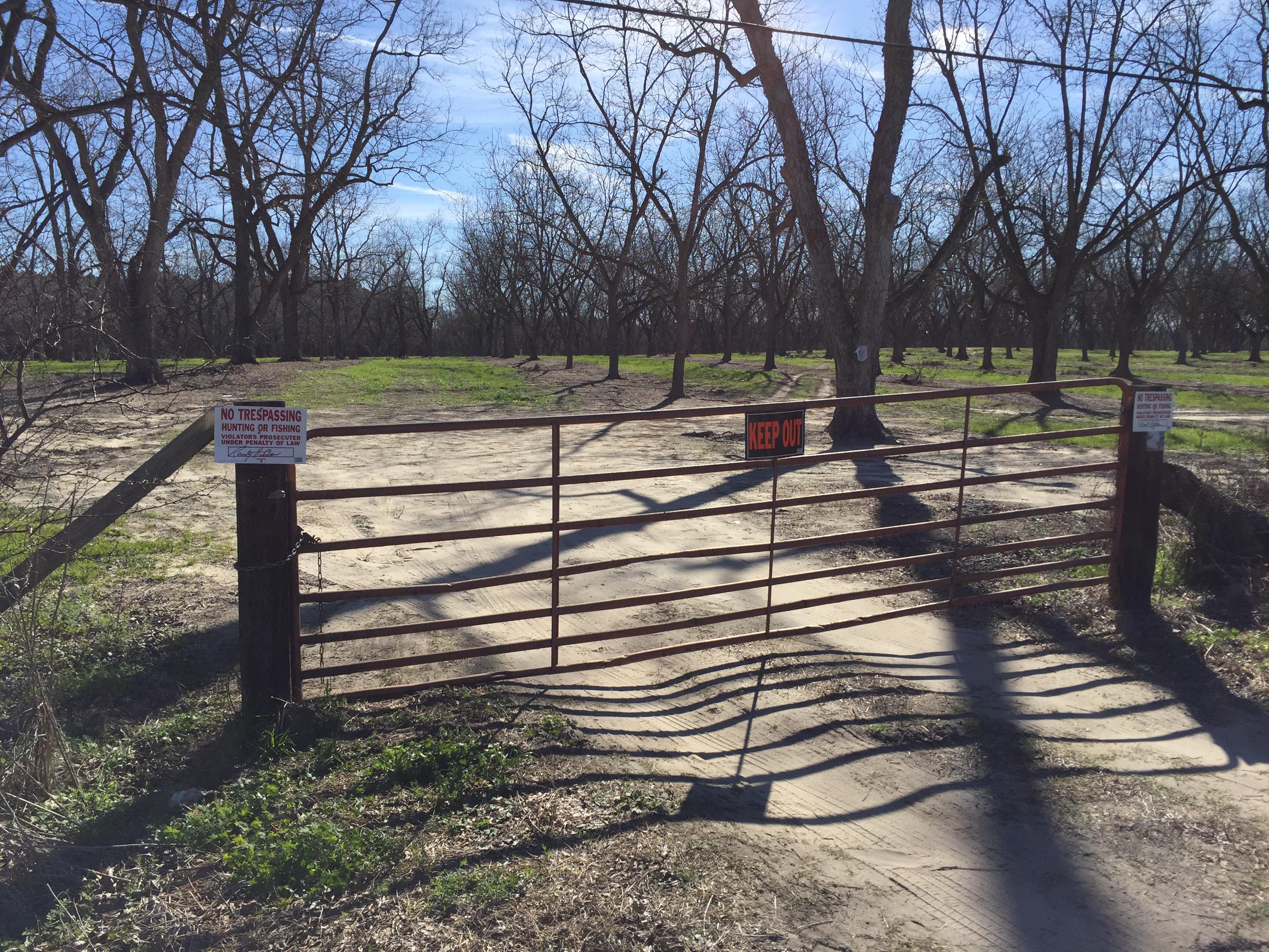 Investigators apparently stop searching Ben Hill farm for