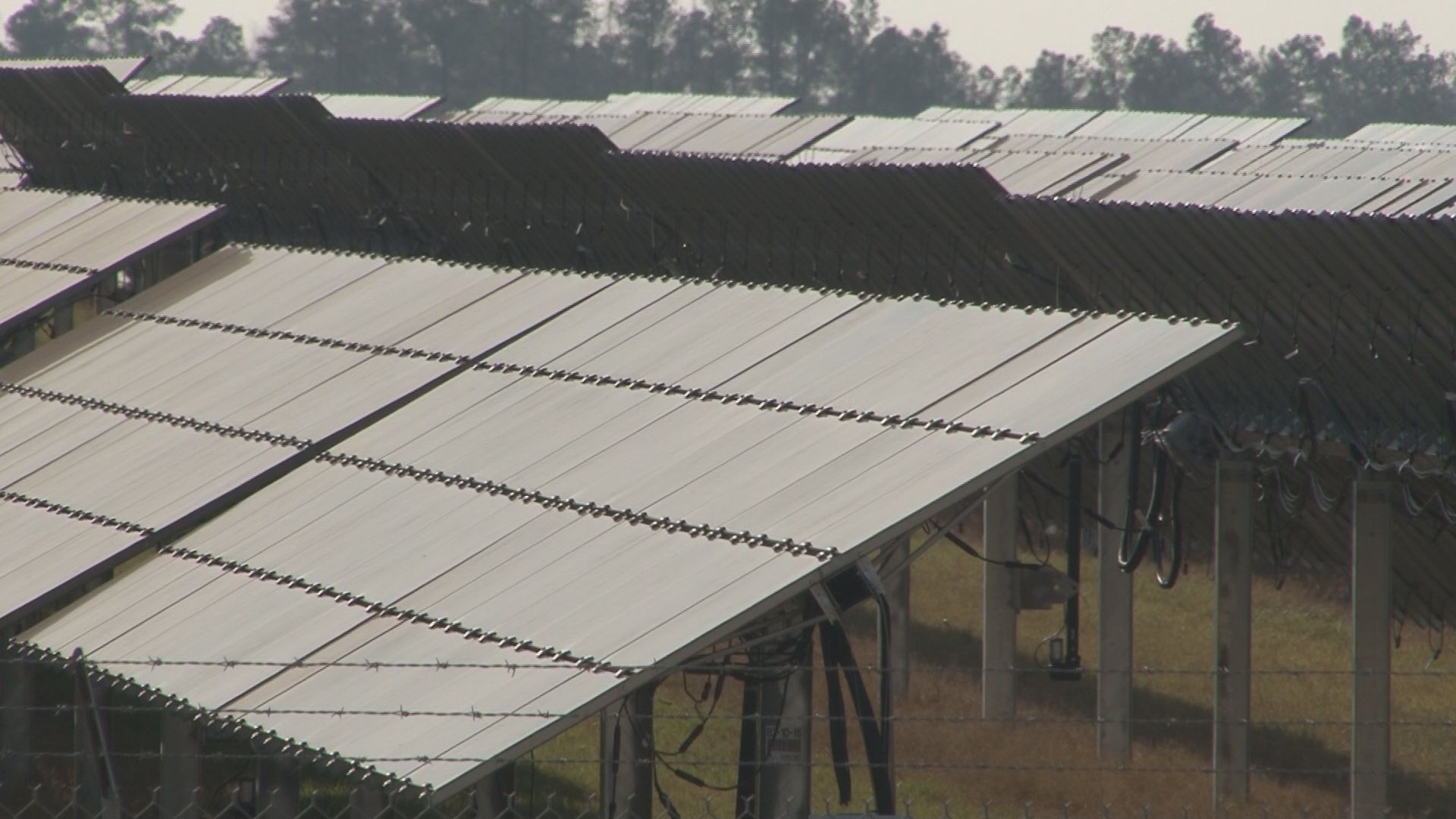 Taylor Farms' Dallas facility spends $2.1 million on solar panel